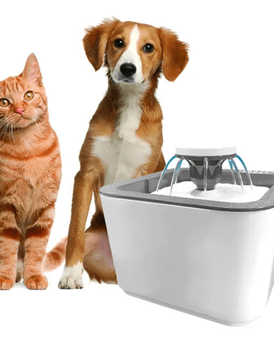 FUENTE DE AGUA BEBEDERO PARA MASCOTAS